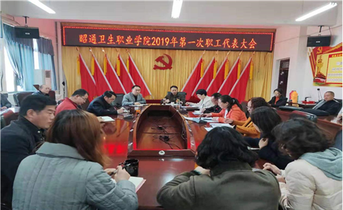 BB贝博艾弗森官网召开2019年第一次职代会