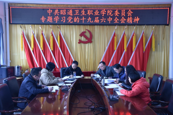 中共BB贝博艾弗森官网委员会专题学习党的十九届六中全会精神