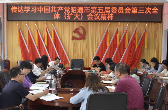 BB贝博艾弗森官网传达学习贯彻 市委五届三次全会精神