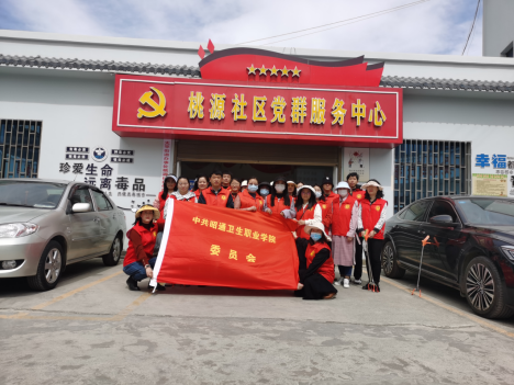 志愿服务进社区 创文创卫在行动  ——BB贝博艾弗森官网到桃源社区开展“双报到”活动